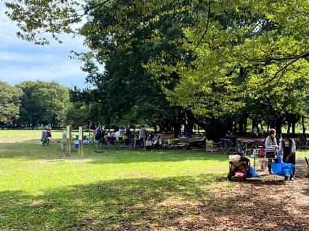 小金井公園でピクニック テントが張れる芝生はどこにある