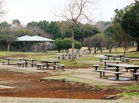 葛西臨海公園 関東公園ガイド パークナビ