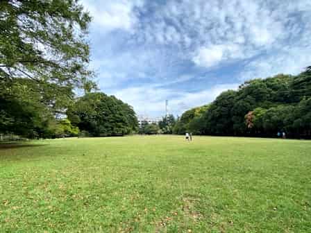 砧公園でピクニック ベンチや芝生はどこにある