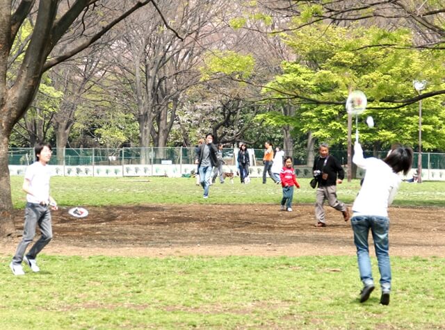 代々木公園の遊び方 サイクリングとピクニック編