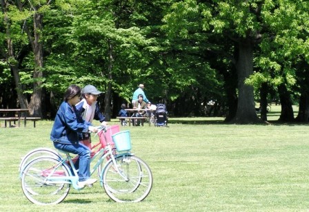 代々木公園 関東公園ガイド パークナビ