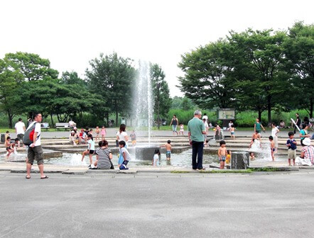 舎人公園 関東公園ガイド パークナビ