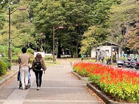 小金井公園でピクニック テントが張れる芝生はどこにある