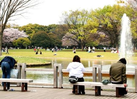 代々木公園 関東公園ガイド パークナビ