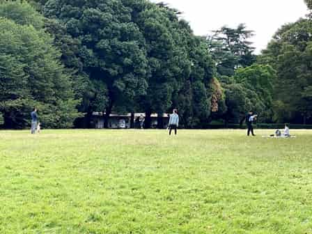 砧公園でピクニック ベンチや芝生はどこにある