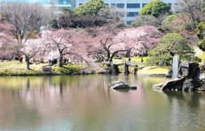 小石川後楽園