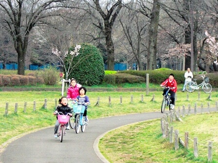 小金井公園 関東公園ガイド パークナビ