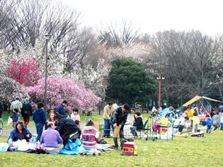 小金井公園 関東公園ガイド パークナビ