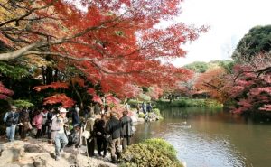 小石川後楽園