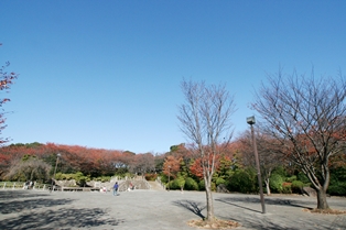 飛鳥山公園 D51や遊具であそべる児童エリアが人気