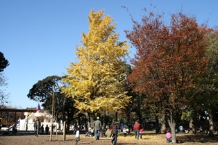 飛鳥山公園 D51や遊具であそべる児童エリアが人気