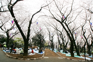 飛鳥山公園 D51や遊具であそべる児童エリアが人気