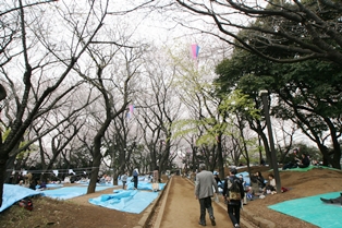 飛鳥山公園 D51や遊具であそべる児童エリアが人気