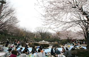 飛鳥山公園 D51や遊具であそべる児童エリアが人気