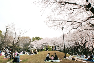 飛鳥山公園 D51や遊具であそべる児童エリアが人気