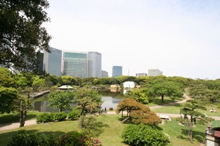 浜離宮恩賜庭園