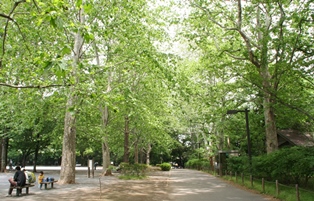 林試の森公園