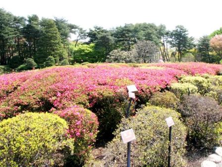 神代植物公園 関東公園ガイド パークナビ