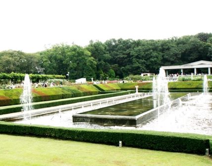 神代植物公園 バラの見頃と開花状況