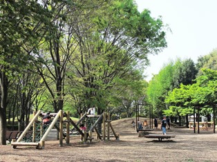 府中の森公園