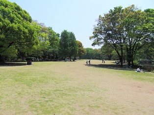 北の丸公園