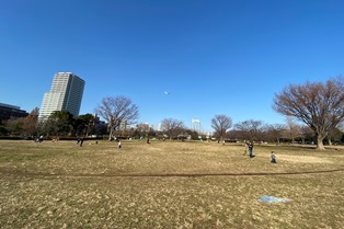 木場公園