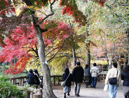 井の頭恩賜公園 井の頭池でボートに乗ろう