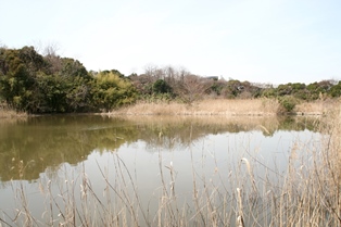 東京湾野鳥公園
