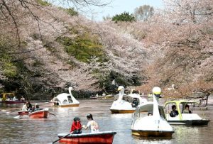 井の頭公園