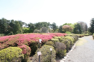 神代植物公園