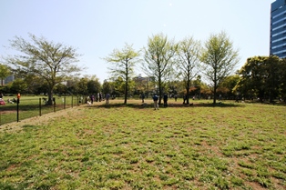 木場公園