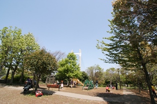 木場公園