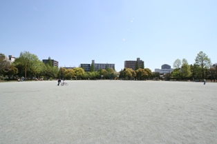 木場公園 多目的広場でピクニックができる大きな公園