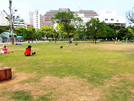 芝公園でピクニック ベンチや芝生はどこにある