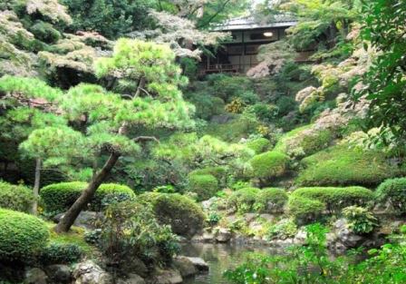 殿ヶ谷戸庭園 関東公園ガイド パークナビ