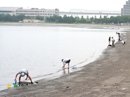 お台場海浜公園 関東公園ガイド パークナビ