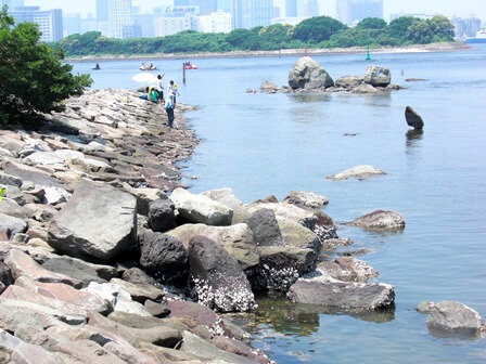 お台場海浜公園 関東公園ガイド パークナビ