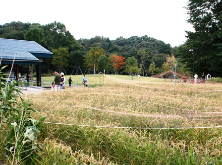 小山内裏公園 バーベキューもできる町田市の都立公園