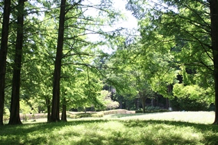 釜の淵公園