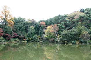 狭山公園