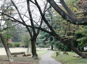 狭山公園