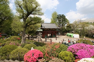 根津神社