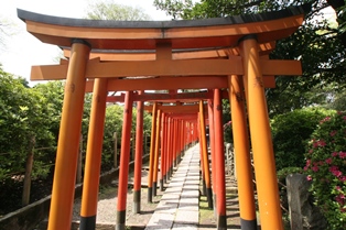 根津神社 千本鳥居とツツジで有名な文京区の神社