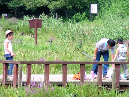 泉の森 関東公園ガイド パークナビ