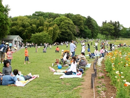 武蔵丘陵森林公園 関東公園ガイド パークナビ