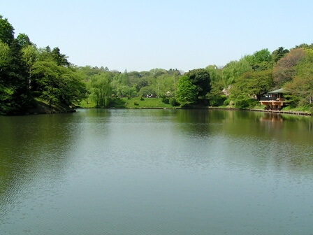 三ツ池公園 関東公園ガイド パークナビ