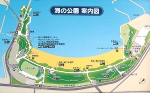 海の公園マップ