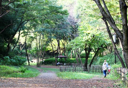 四季の森公園