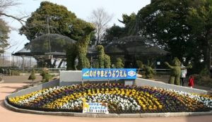 野毛山動物園