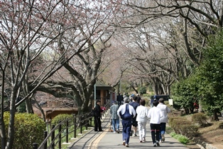 三ツ池公園 水遊びができるせせらぎと遊具がある県立公園